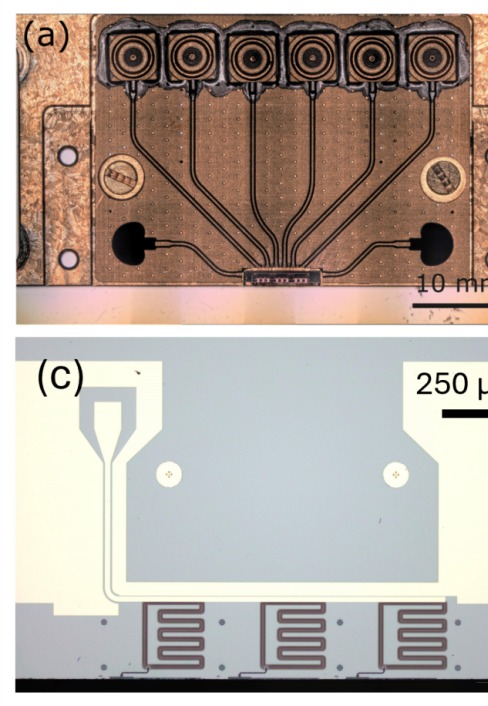 QphoX Quantum Transducer