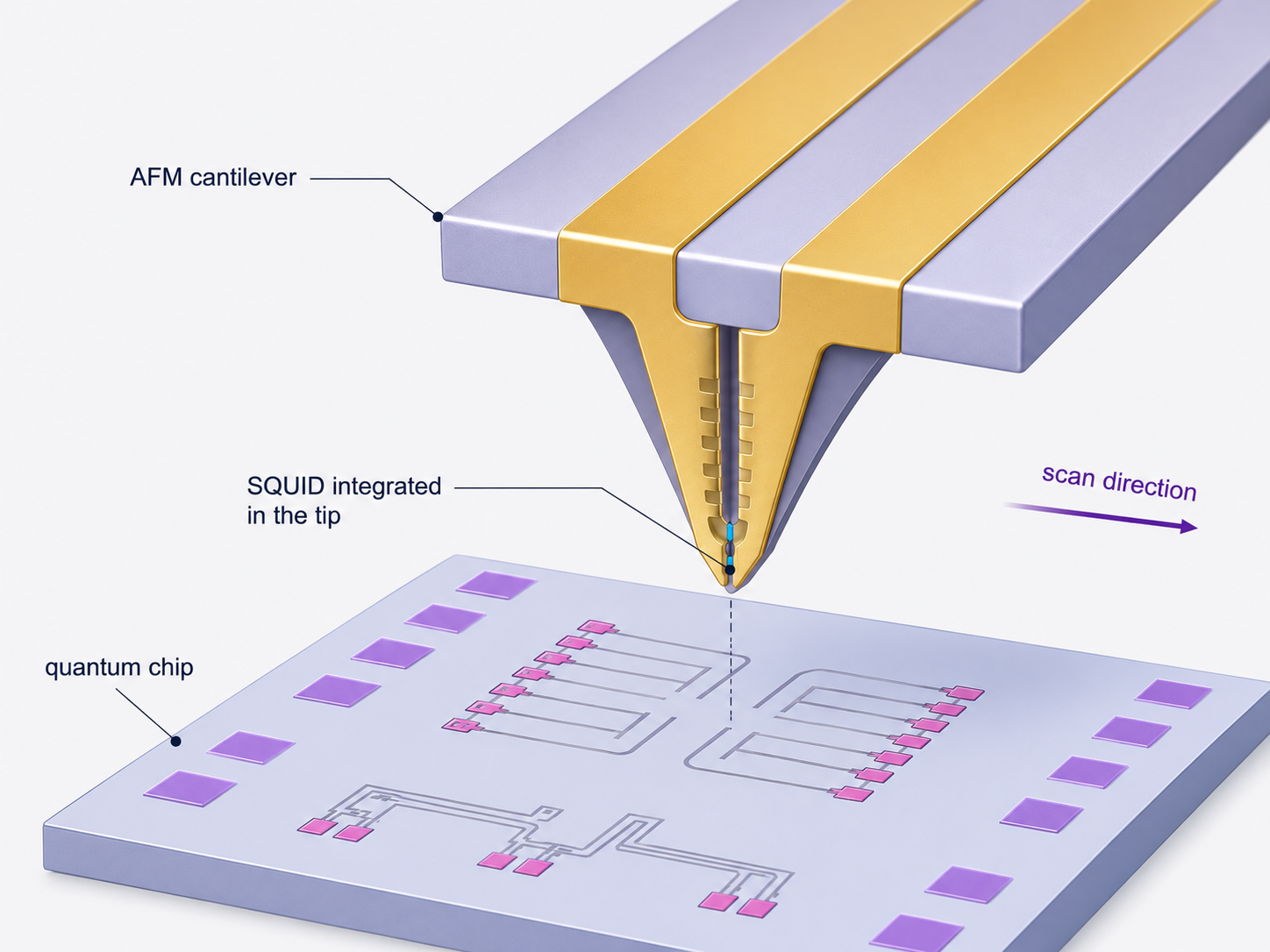 QuantaMap SQUID-AFM Probes